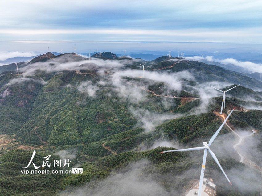 蝙蝠侠：阿甘骑士